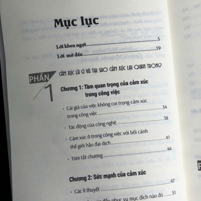 Sách: Sức Mạnh Của Cảm Xúc Trong Công Việc