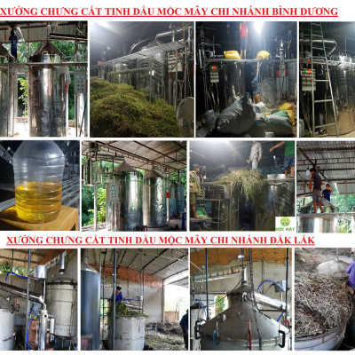 Tinh dầu Tràm Trà 10ml Mộc Mây - tinh dầu nguyên chất 100% từ thiên nhiên - chất lượng và mùi hương vượt trội
