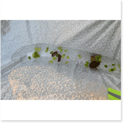 Bạt Che Phủ Xe Ô Tô Cao Cấp 3 Lớp Chống Nắng Nóng Chống Nước Chống xước