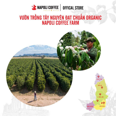 Cà Phê CAPPUCCINO Napoly Coffee Arabica/Robusta Hòa Tan Giữ Hương Vị Cà Phê, Đậm Đà, Thơm Béo Của Sữa - Túi 10 Gói