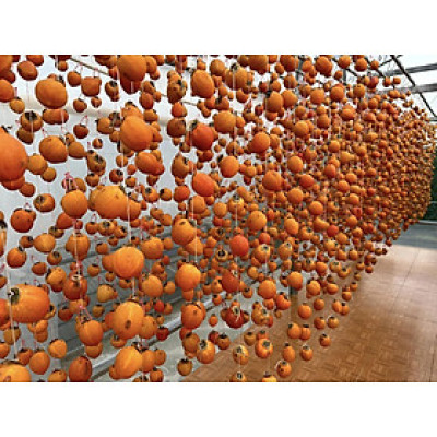 Hồng treo gió Đà Lạt 500g