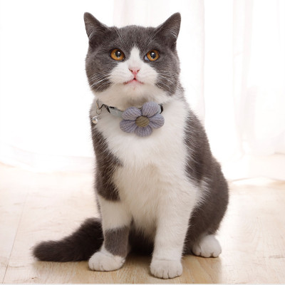 Vòng cổ xinh xắn hoa cúc cho chó mèo ( màu giao ngẫu nhiên )