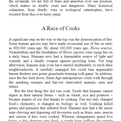 Sapiens : A Brief History of Humankind (Paperback)