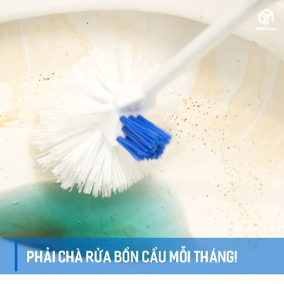 Mua combo 10 vỉ + Tặng thêm 2 vỉ vệ sinh bồn cầu cao cấp Hàn Quốc BlueShot (sử dụng được gần 2 năm) - Hàng chính hãng