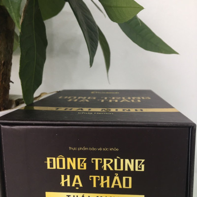 Đông trùng hạ thảo Thái Minh- Bồi bổ cơ thể, tăng cường sức khỏe