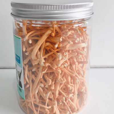 Đông trùng hạ thảo sấy thăng hoa - Hủ 20g