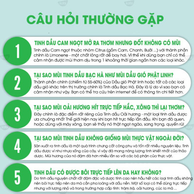 Tinh Dầu Vỏ Quýt Kobi Xông Hương, Giảm Stress, Khử Mùi, Giúp Bạn Thư Giãn Tạo Hứng Khởi (10ml)