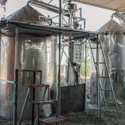 Tinh dầu Gỗ Đàn Hương 50ml Mộc Mây - tinh dầu thiên nhiên nguyên chất 100% - chất lượng và mùi hương vượt trội - Có kiểm định - Hương ngọt ngào, trầm, dai dẳng, quyến rũ nồng ấm từ loài gỗ quý hiếm nhất thế giới…