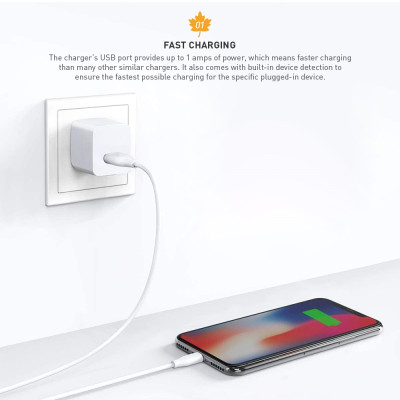 Củ Sạc Dành Cho Iphone VTECH cao cấp - Hàng Nhập Khẩu