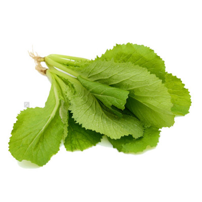 Hạt giống cải Mơ cao sản - Mơ Đăm gói 20g VTS16