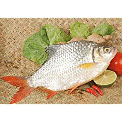 COMBO - Thùng (06 hộp) 2 hộp Mắm Cá Linh Chưng + 2 hộp Cá Linh Kho Mía + 2 hộp Cá Mè Vinh Kho Lạt - Antesco